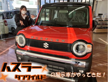 新型ハスラータフワイルド展示車入荷しました！！！！